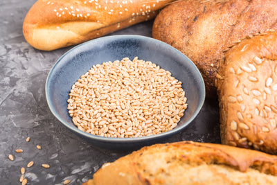 Gluten & Wheat
