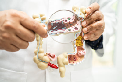 Food Intolerance and Blood Testing: Taking Control of Your Health with Smartblood