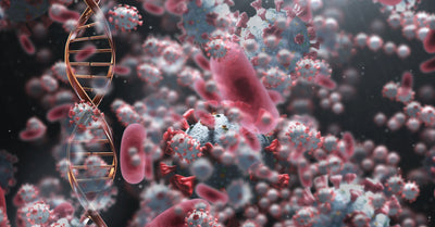 Atkinson, Sheldon, Shaath, et al (2003) - Food elimination based on IgG antibodies in irritable bowel syndrome: a randomised controlled trial.